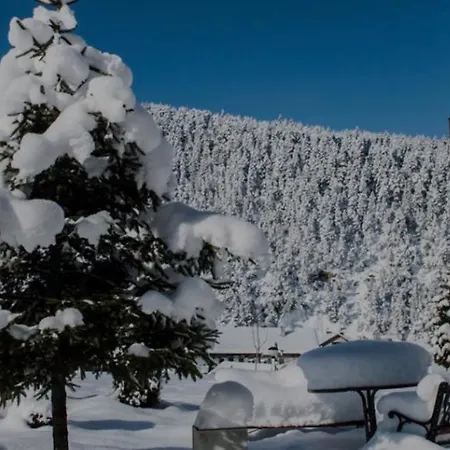 Edelweiss Apartament *