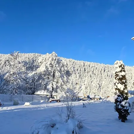 Edelweiss Beli Iskar